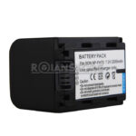 Batería Alternativa Sony Np-FH70 FH30 FH40 FH50 FH60 FH100 - Imagen 17
