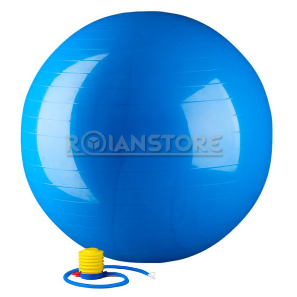 Balón Pelota Pilates Ball Con Inflador 75cm
