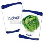Lenguaje Dactic Laminas Imágenes Reales Alimentación Saludable