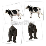 Juego de Mesa Dactic Memorice Animales Cartón - Imagen 2