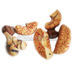 Modelo Anatomico de Cerebro con Arterias y Estructuras Anatomicas 8 Piezas - Imagen 6