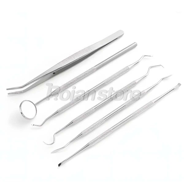Set 6 Herramientas Limpieza Cuidado Dental Acero Inoxidable